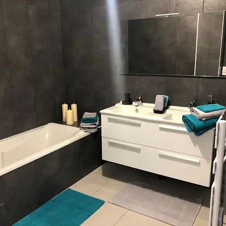 Bel F3 Vue Sur Le Golfe D'ajaccio * 阿雅克肖